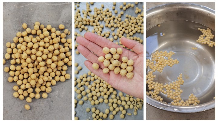 <h3>Indonesia Feed Pellet Market/Indonesia Fish Feed Pellets</h3>
